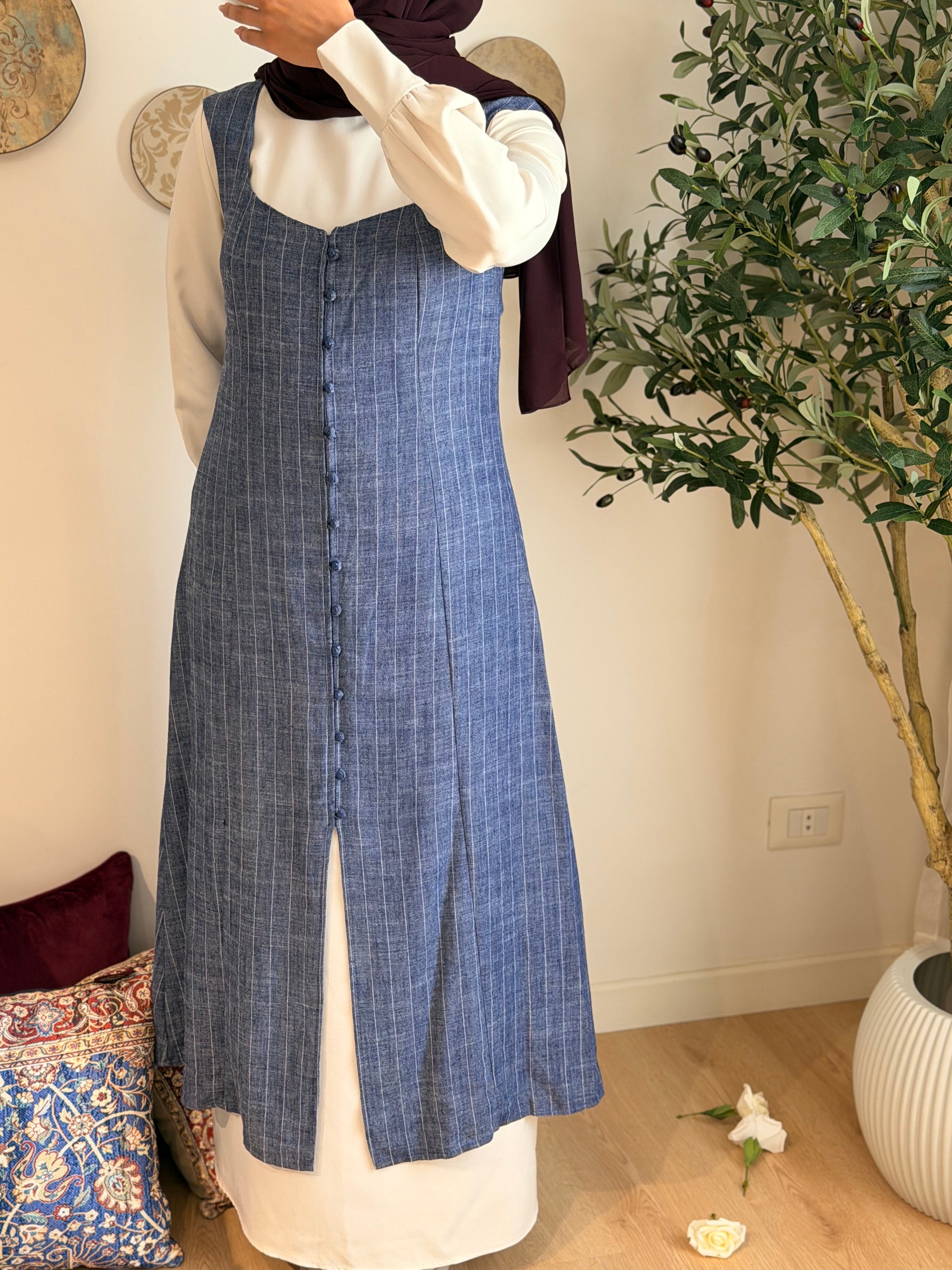 Vectorian Dress